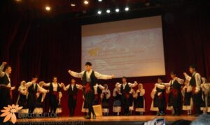 DSCN6049