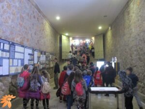 IMG_0548