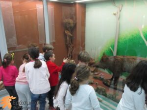 IMG_4316